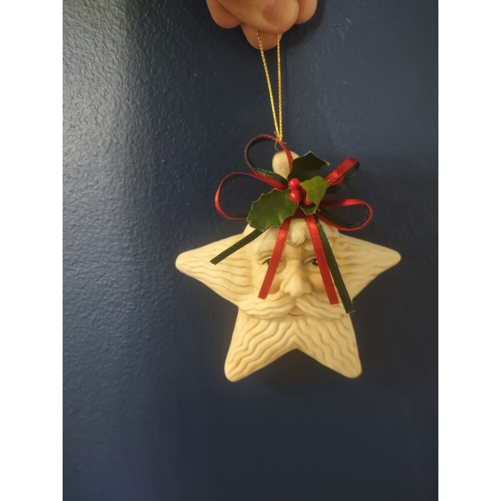 Star Shaped Santa Star Ornament Curly Realistic Beard Front & Back